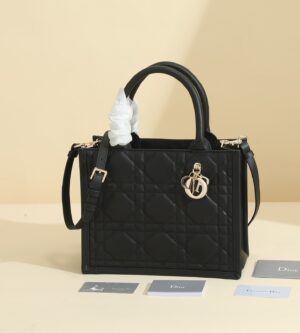 디올 북 토트 레더 스트랩 백 스몰 까나쥬 M1325OWHP